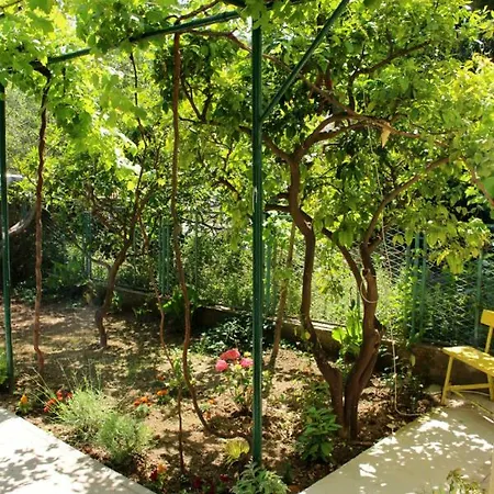 Guest house Marana Split