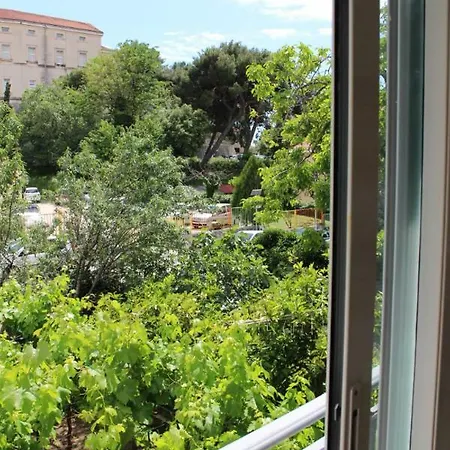 Marana Guest house *