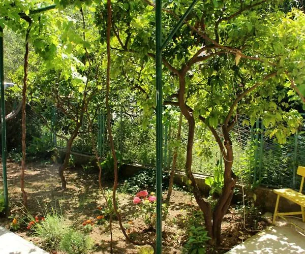 招待所 Marana 斯普利特